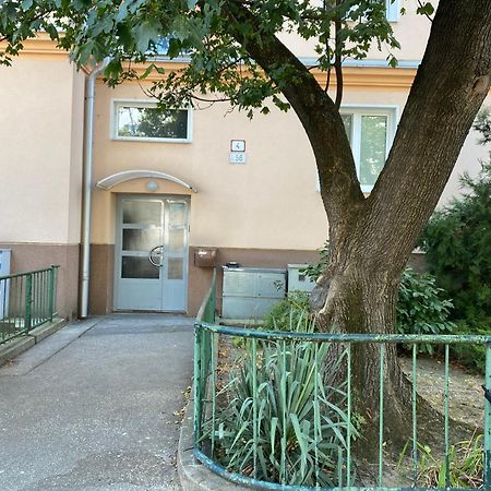ברטיסלאבה Stadium Apartment מראה חיצוני תמונה